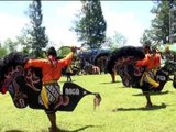 Seni Tradisional Jaranan Rogo Saputro (Official Music Video)