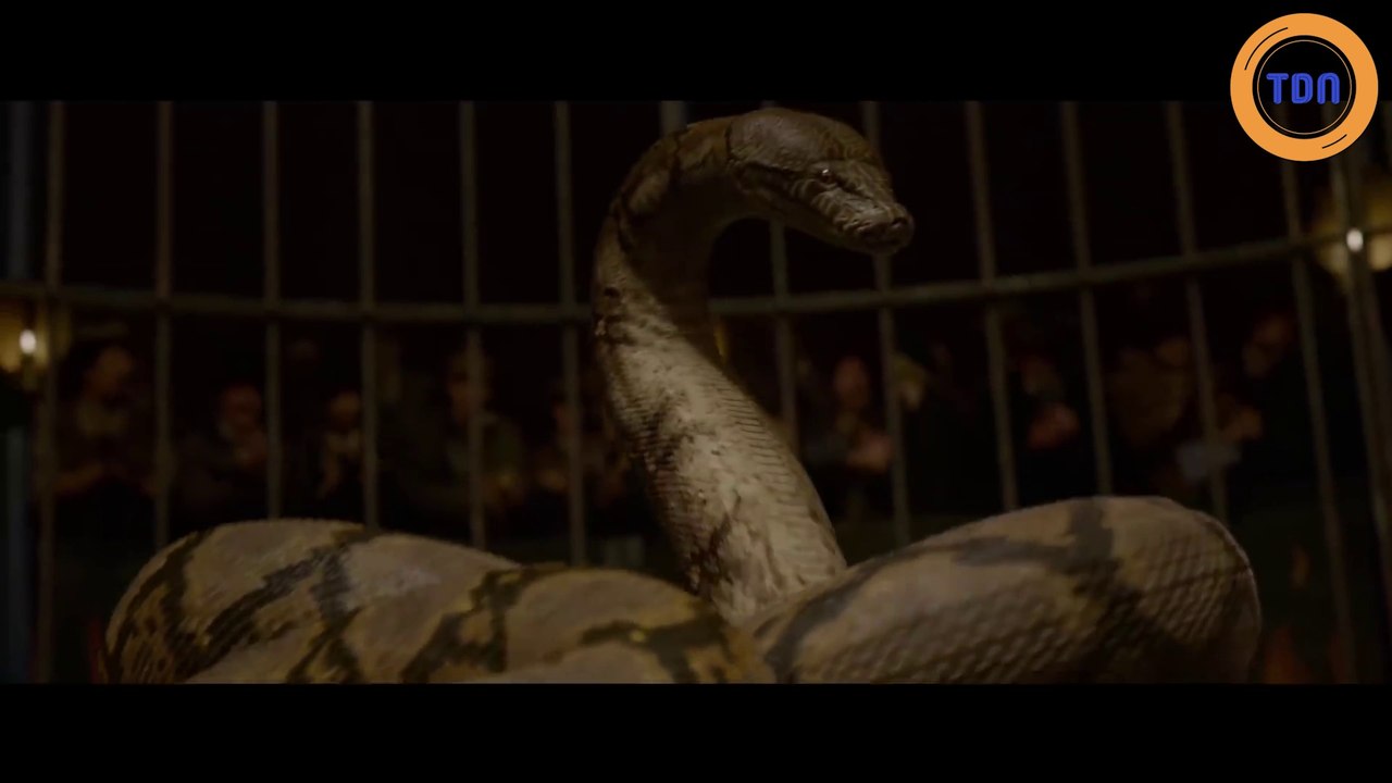 Les Animaux fantastiques 2 La bandeannonce finale confirme la théorie sur l