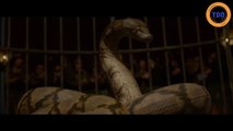 Les Animaux fantastiques 2 : La bande-annonce finale confirme la théorie sur l'identité de Nagini !