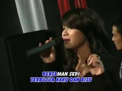 Suliana - Bagai Disambar Petir (Official Music Video)