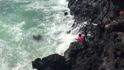 갯바위 낚시 50대 해상 추락 숨져 / YTN