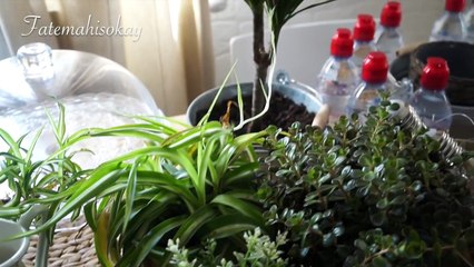 يوميات إمرأة "كالسة في الدار" :  تبدل الجو و بدلت كلشي في داري و عشاء في عشرين دقيقة