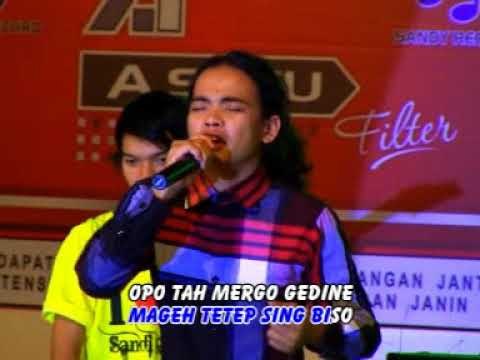 Demy - Janggete Roso [Official Music Video]