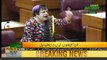 Shireen Mazari befitting reply to Khawaja Asif speech in National Assembly complete speech