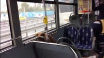 Okmeydanı'nda Metrobüs Kazası