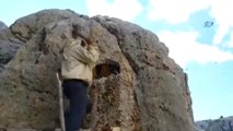 Dağları Dolaşıp, Kayaları Parçalayarak Firari Arılardan Bal Topluyor