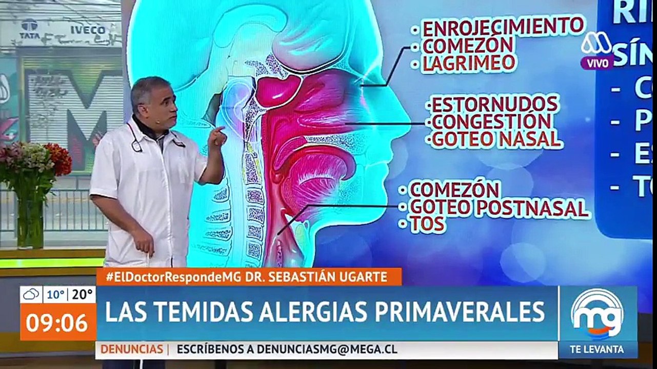 ¡Lo que un alérgico debe saber en primavera! - Mucho gusto 2018