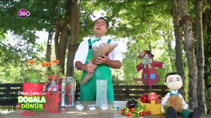 Kesme çiçek bakımı