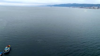 İzmit Körfezi'nin Su Altı Yaşamı Film Olacak - Kocaeli