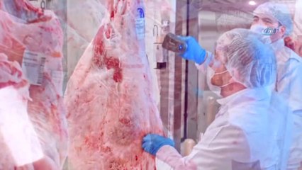 İyi Bir Döner Yapmak İçin Yerli Et Şart