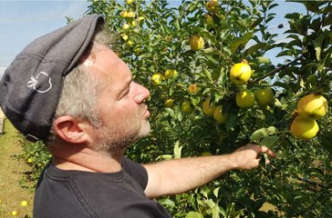 Vitrolles:  une belle récolte de pommes, un avenir flou