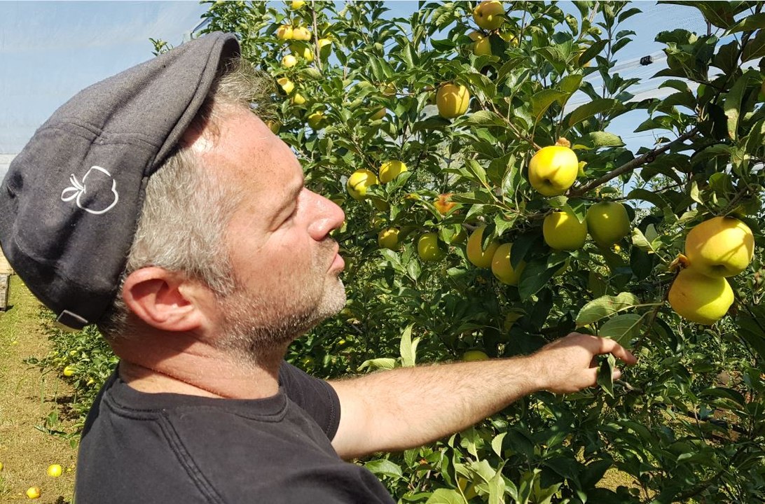 Vitrolles:  une belle récolte de pommes, un avenir flou