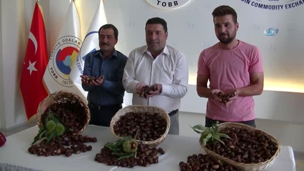 Aydın'da Sezonun İlk Kestanesi Borsaya Teslim Edildi