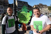 Marche pour la forêt: 