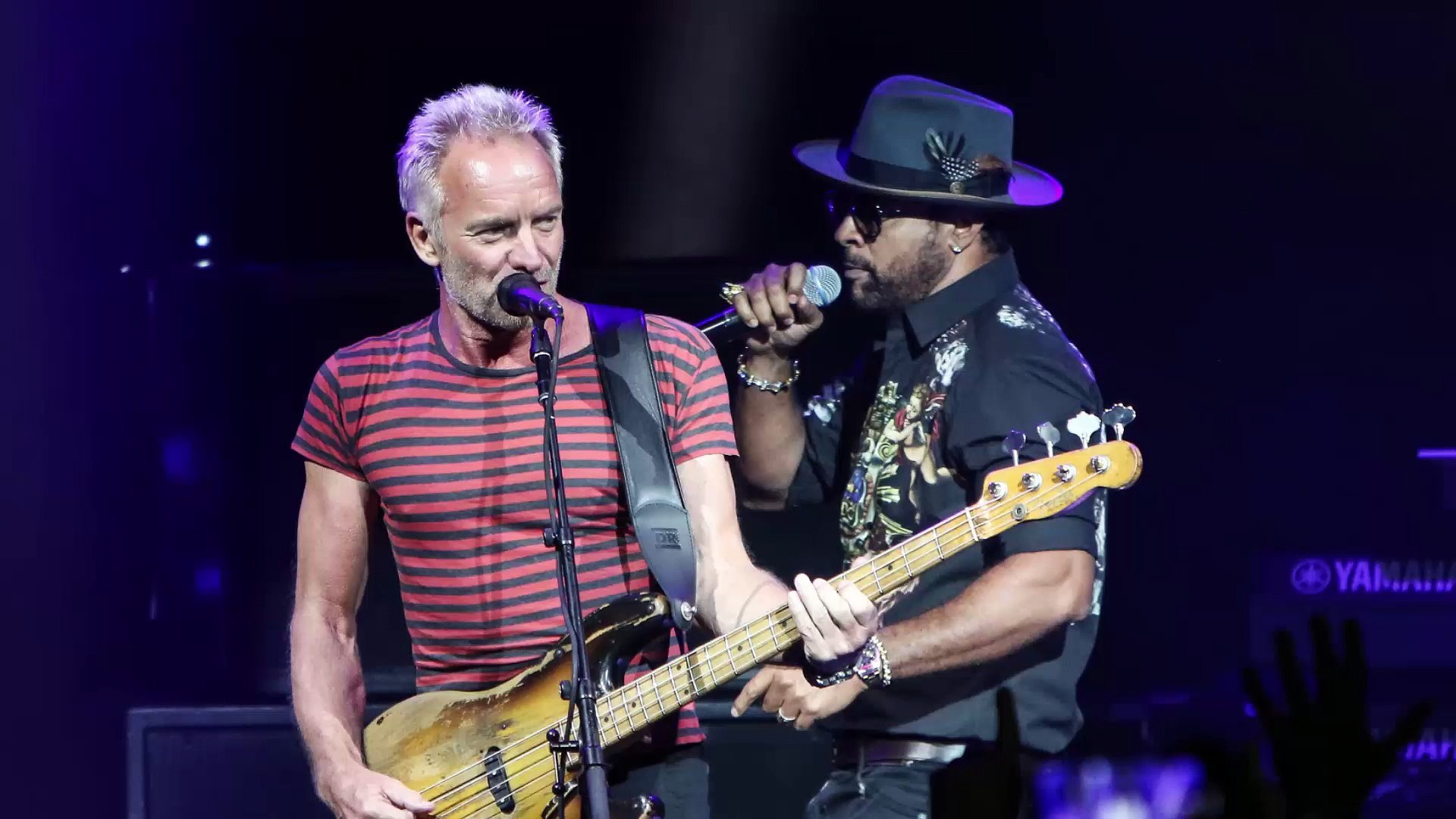 Maître Gims invité de Sting et Shaggy, leur single dévoilé - Vidéo  Dailymotion