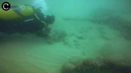 Portogallo: trovato relitto di 400 anni