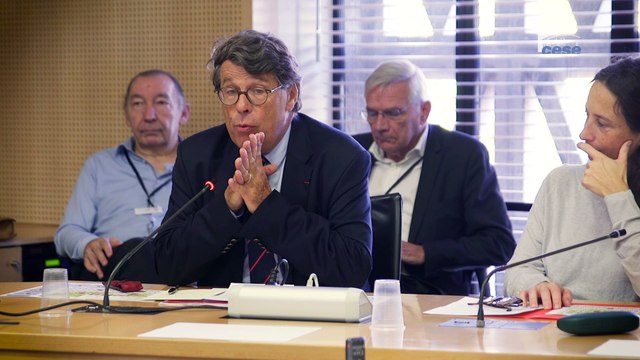 Questions à Philippe CHALMIN (université Paris-Dauphine) - Métaux stratégiques - cese