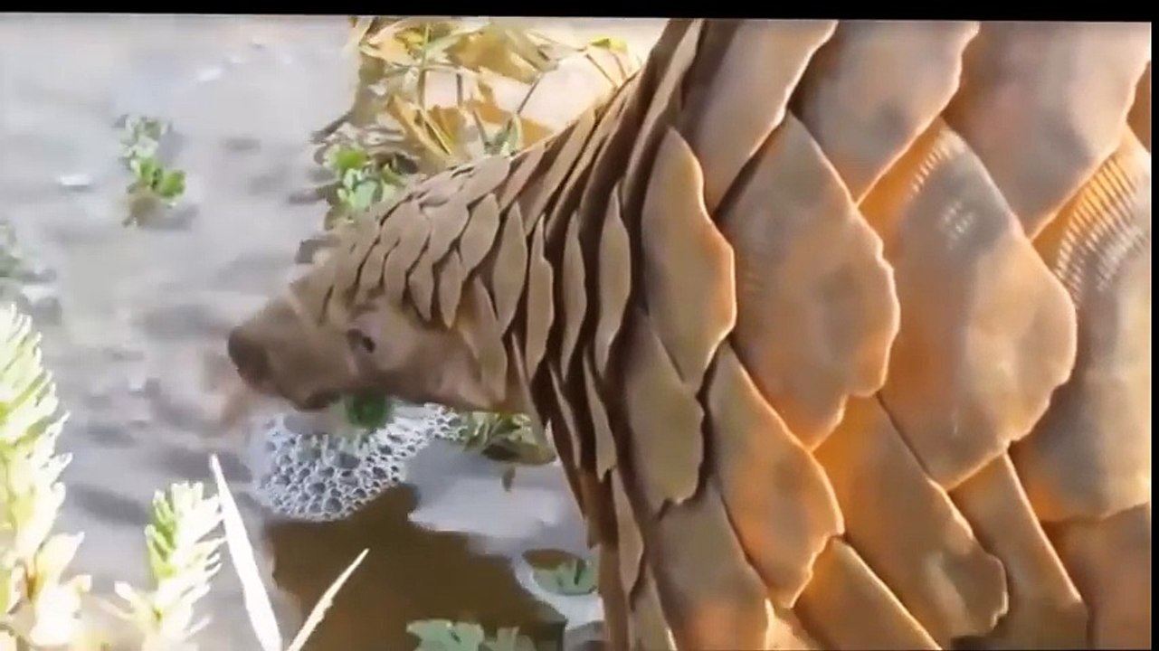 Wild Animals Fight Powerful Compilation Elephant vs Jaguar Crocodile, Lion vs Hyena, King Cobra