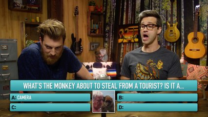 What Did That Animal Steal (GAME)