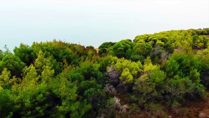 Yeni Gelin 55.Bölüm izle 29 Eylül 2018