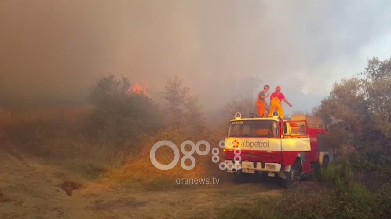 Ora News - Zjarri i fuqishëm në Levan të Fierit