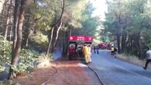 Kuşadası Dilek Yarımadası Milli Parkı'nda Yangın