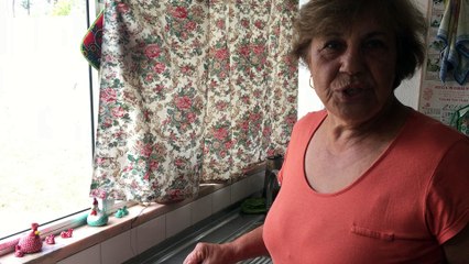 Já viu sardinha na telha? Aqui tem em Lá Vai Maria-Portugal.