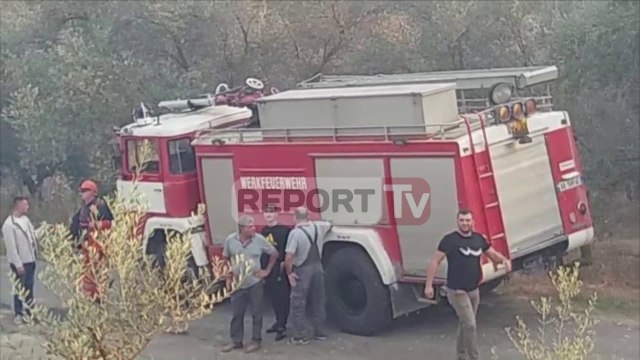 Report Tv-Zjarr i madh në kodrat me ullishte në Levan