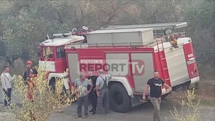 Report Tv-Zjarr i madh në kodrat me ullishte në Levan