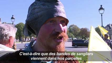 "Opération sangliers" d'un commando de paysans aux Invalides