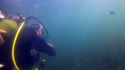 Belediye başkanı Körfez sularındaki yaşamı incelemek için dalış yaptı