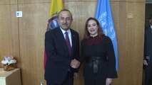 Dışişleri Bakanı Çavuşoğlu, BM Genel Kurul Başkanı Espinoza ile Görüştü - New