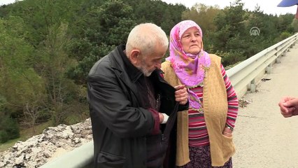 Kastamonu'da aracın çarptığı bozayı telef oldu