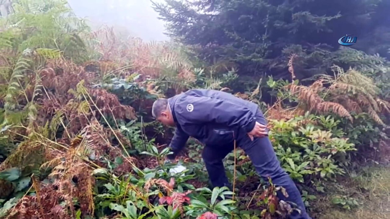 Doğa Koruma ve Milli Parklar Giresun Şube Müdürü Kuduban: “Doğayı böyle seven bu bölgeye gelmesin”