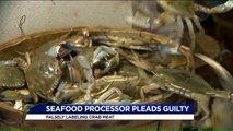 Seafood Processor Accused of Labeling Foreign Crabs as Atlantic Blue Faces 5 Years in Prison