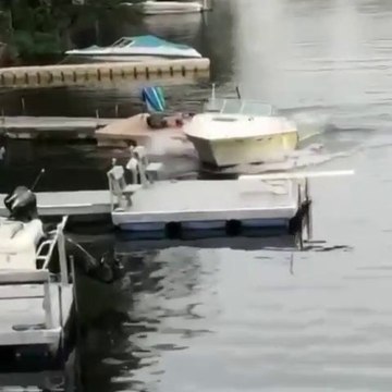 Cette femme va faire une très grosse bétise avec son bateau