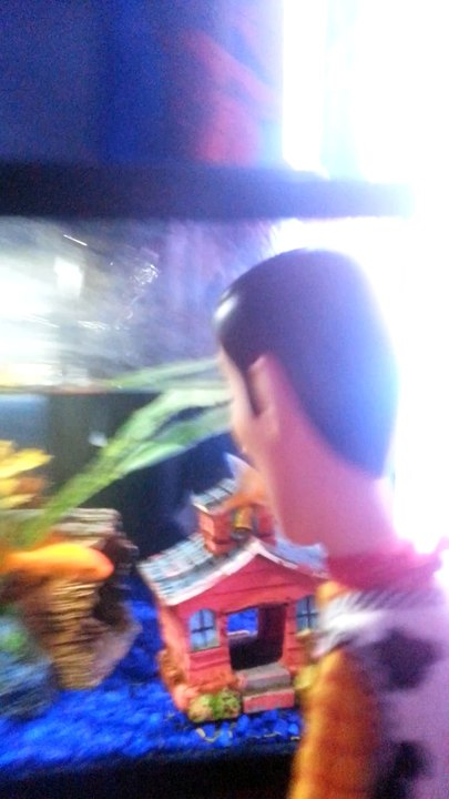 Woody vs Mario