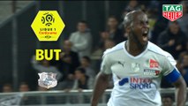 But Prince-Désir GOUANO (66ème) / Amiens SC - Stade Rennais FC - (2-1) - (ASC-SRFC) / 2018-19