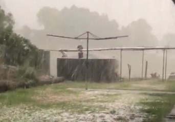 Скачать видео: Hail Pummels Northeast New South Wales