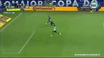 [GOL DE BARCOS] Cruzeiro 1 x 1 Palmeiras - Copa do Brasil 2018