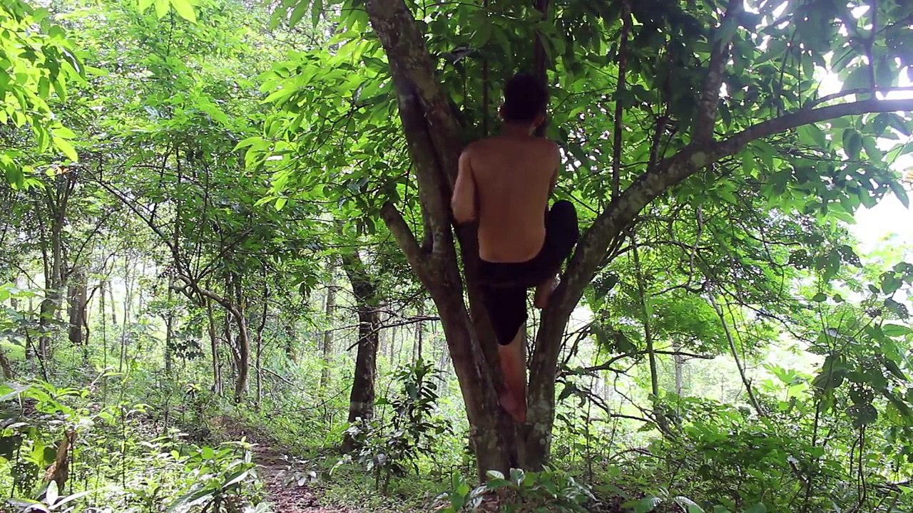 Primitive Survival_ Cooking Bird Eggs on a Rock - Find the Bird Eggs in the Wild