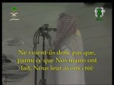 Video Jouhayni sourate yasin - islam, coran, mekka