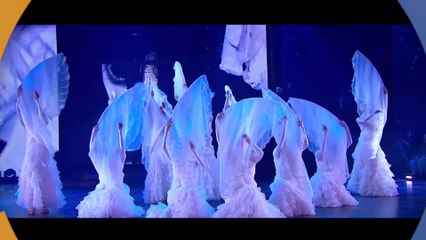 The Viennese Waltz - Stunning Show