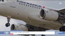 Un avion Air France met plus de 15 minutes à réussir son atterrissage à cause du vent - Regardez