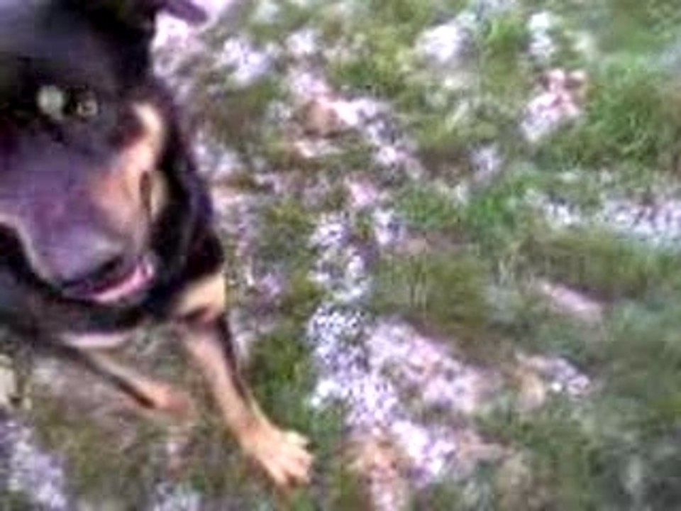 nikita et le ballon