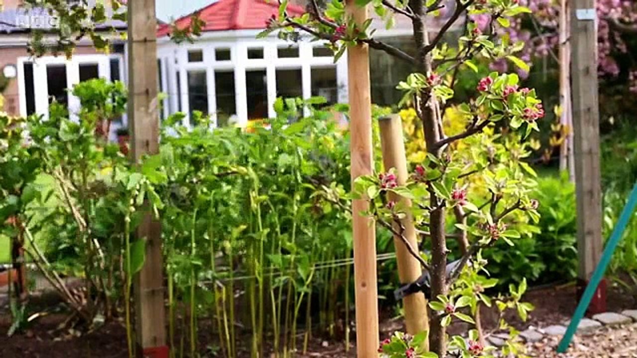 The Instant Gardener S02 E12 video Dailymotion