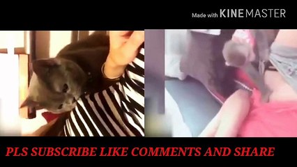 ANIMALS LOVE WITH GIRL THEN WHAT HAPPENED DONT MISS 640x360 0.94Mbps 2018-07-21 12-42-58