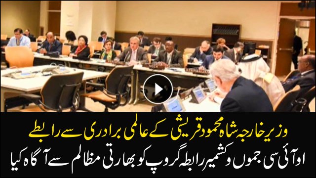 Shah Mehmood QureshiFM Shah meets International community, discussed Indian violence in Jammu Kashmir with OIC.