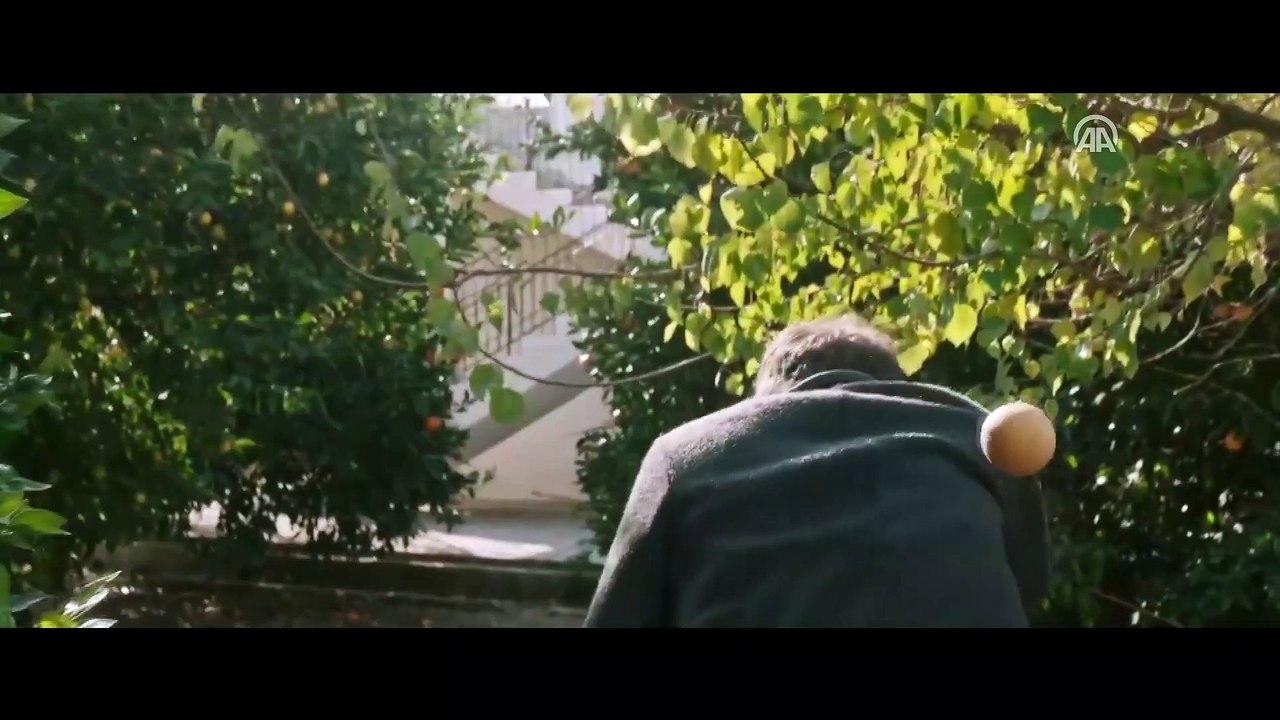 Sinema - 'Halef' - İSTANBUL