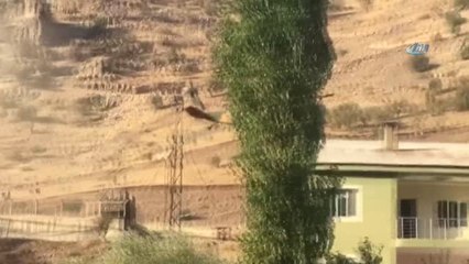 Beytüşşebap'ta Çatışma: 1 Terörist Yaralı Ele Geçirildi